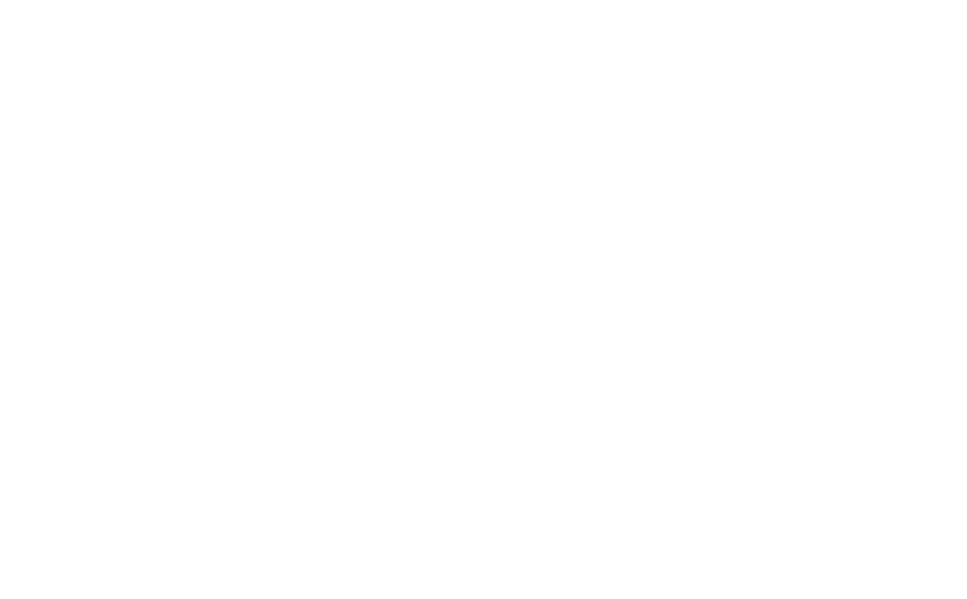 A Transportation Solution for Augusta